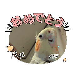 [LINEスタンプ] オカメちゃん一家