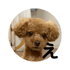 [LINEスタンプ] カワイイ犬 スタンプ