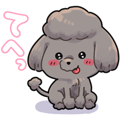 [LINEスタンプ] トイプー大好き☆グレー＆アプリコット