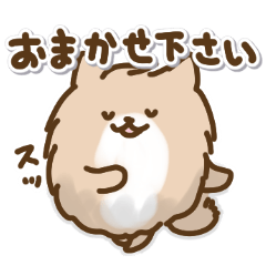 [LINEスタンプ] ポメラニアンの日常色々