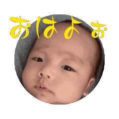 [LINEスタンプ] 虎壱くん②