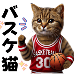 [LINEスタンプ] リアルなバスケ猫