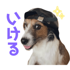 [LINEスタンプ] ARTS君