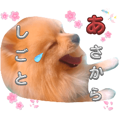[LINEスタンプ] はる あかさたな①