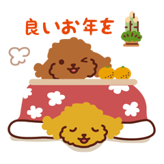 [LINEスタンプ] トイプードル_ クリスマス＆新年編