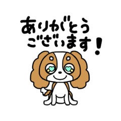 [LINEスタンプ] おすわりワンワン！キャバリアたん！