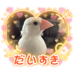 [LINEスタンプ] 文鳥好きの画像（メイン）