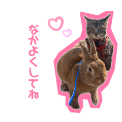 [LINEスタンプ] ここぽぽとと