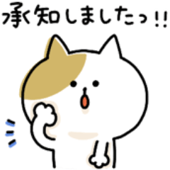 [LINEスタンプ] ゆるゆるニャンコのお仕事敬語