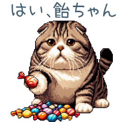 [LINEスタンプ] 毎日使える関西弁ねこ【挨拶・日常会話】