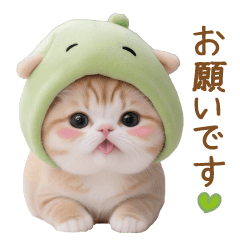 [LINEスタンプ] メロン帽が可愛い スコティッシュ猫2 敬語