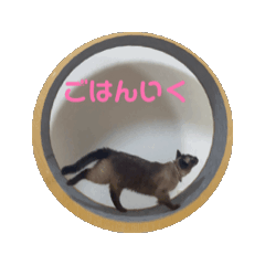 [LINEスタンプ] うごくツムたん