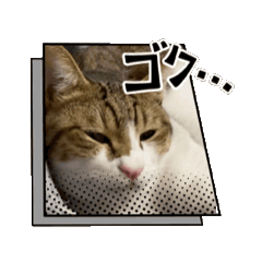 [LINEスタンプ] 安田家の大猫シャケ