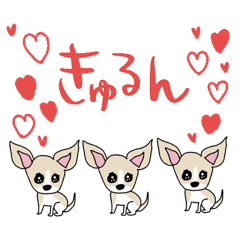 [LINEスタンプ] いろんな犬のデカ文字☆pocaママ