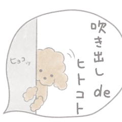 [LINEスタンプ] 吹出しで一言プードル/テディベア/ブラウン