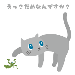 [LINEスタンプ] ねこの目まんまる