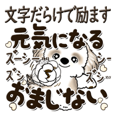 [LINEスタンプ] シーズー犬 2024『文字だらけで励ます』