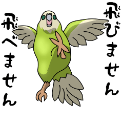 [LINEスタンプ] 愉快な飛べない鳥たち