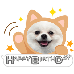 [LINEスタンプ] こむぎさん(3)