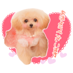 [LINEスタンプ] Honey 1th Birthday