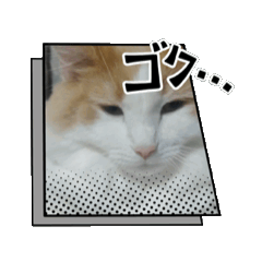 [LINEスタンプ] 猫のムーたんダヨ4