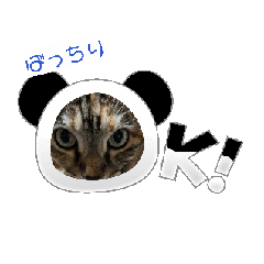 [LINEスタンプ] なんとなくアニメーション猫すたんぷ