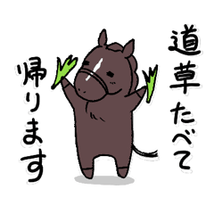 [LINEスタンプ] 日常/競馬で使えるゆるい競走馬スタンプ