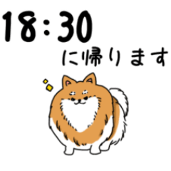 [LINEスタンプ] 帰宅時間をお知らせする犬