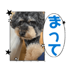 [LINEスタンプ] 寂しいから行かないで！