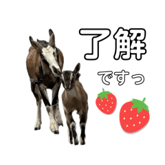 [LINEスタンプ] 誠志郎農園