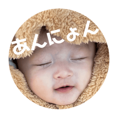 [LINEスタンプ] HEMUHEMUの写真すたんぷ