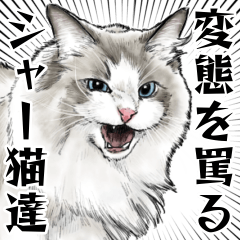 [LINEスタンプ] 変態を罵るリアルシャー猫達