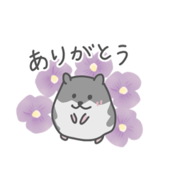 [LINEスタンプ] ゆるハムスター ぽってりジャンガリアン