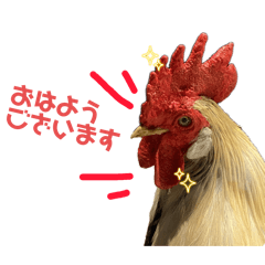 [LINEスタンプ] 鳥が色々言うスタンプ#1
