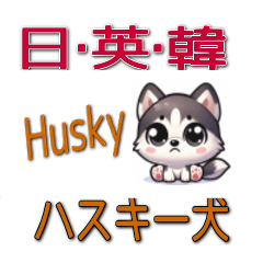 [LINEスタンプ] ハスキー犬の毎日、日本語・英語・韓国語