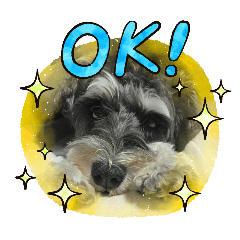 [LINEスタンプ] 愛犬はなちゃんのん3