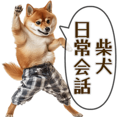 [LINEスタンプ] ◾️柴犬の日常会話