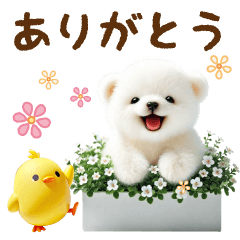 [LINEスタンプ] 飛び出る☆しろくまのきづかい敬語