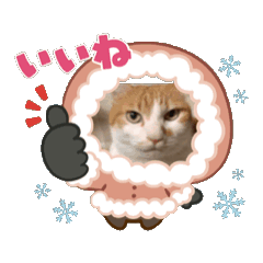 [LINEスタンプ] ちびすけの遊び日記2