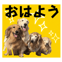 [LINEスタンプ] すずらんと仲間たちの巻