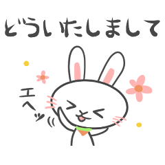 [LINEスタンプ] かわいいウサギ【日常で使える言葉】