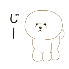 [LINEスタンプ] でか丸プードルの日常スタンプ