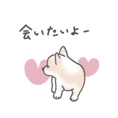 [LINEスタンプ] 花と動物たち ほんわか よく使うひとこと