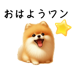 [LINEスタンプ] かわいいポメラニアンのような