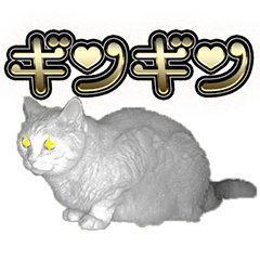 [LINEスタンプ] 茶トラ兄弟「オイボイ」日常ver.2