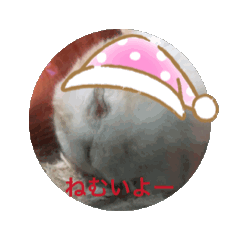 [LINEスタンプ] 日常のSanta