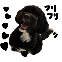 [LINEスタンプ] 犬スタンプおはぎ♡