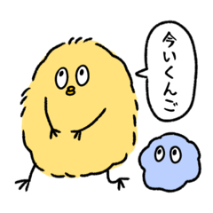 [LINEスタンプ] キョロひよ(日常会話)