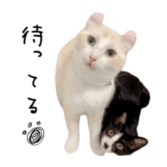 [LINEスタンプ] 獅王とちょび