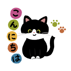 [LINEスタンプ] にゃんこさんのご挨拶スタンプ